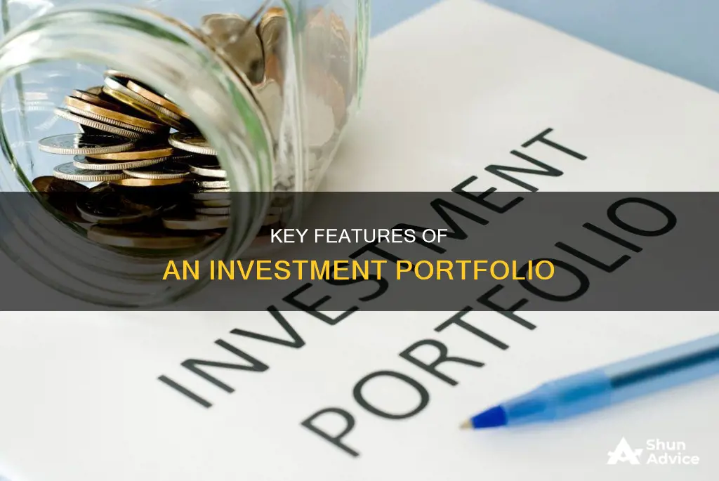 what are the features of investment portfolio