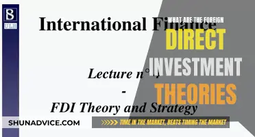 Exploring the Global FDI Landscape: Theories Unveiled