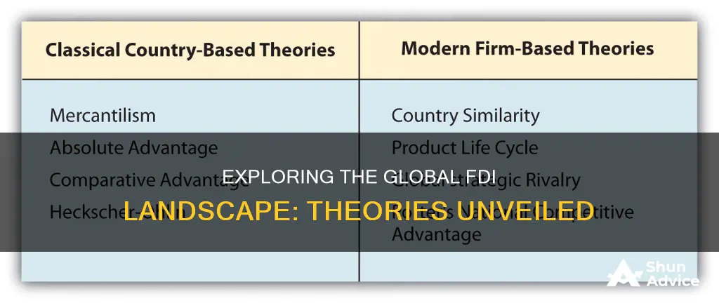 what are the foreign direct investment theories