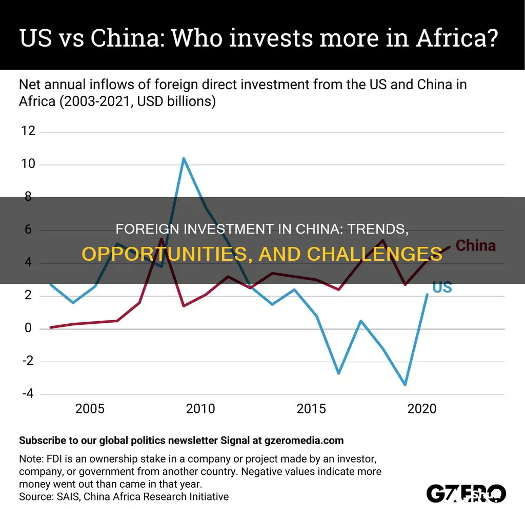 what are the foreigner direct investment in china