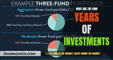 Golden Investment Years: Strategies for Long-Term Wealth