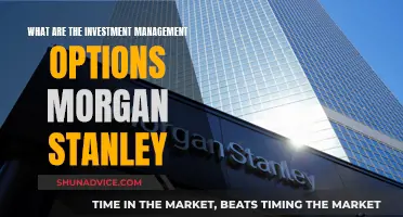 Morgan Stanley's Investment Management Options: Exploring the Choices