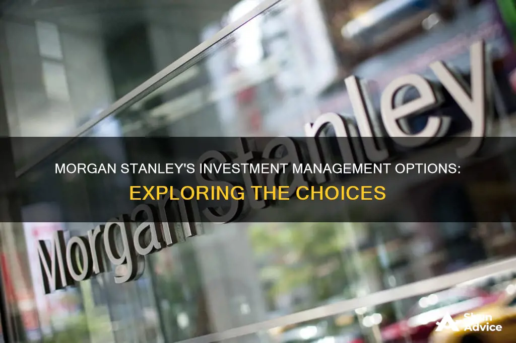 what are the investment management options morgan stanley