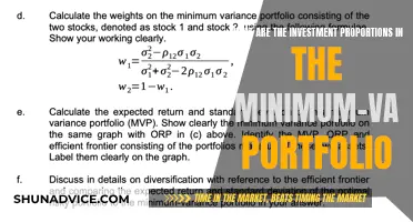 Understanding Minimum-Variance Portfolio Investment Proportions