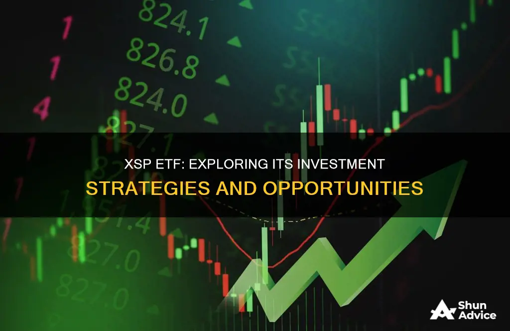 what are the investments in xsp etf