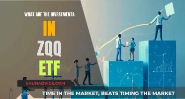 Exploring the ZQQ ETF: Investment Opportunities and Insights