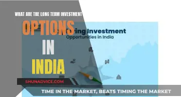 Unleash Your Wealth: Exploring India's Long-Term Investment Strategies