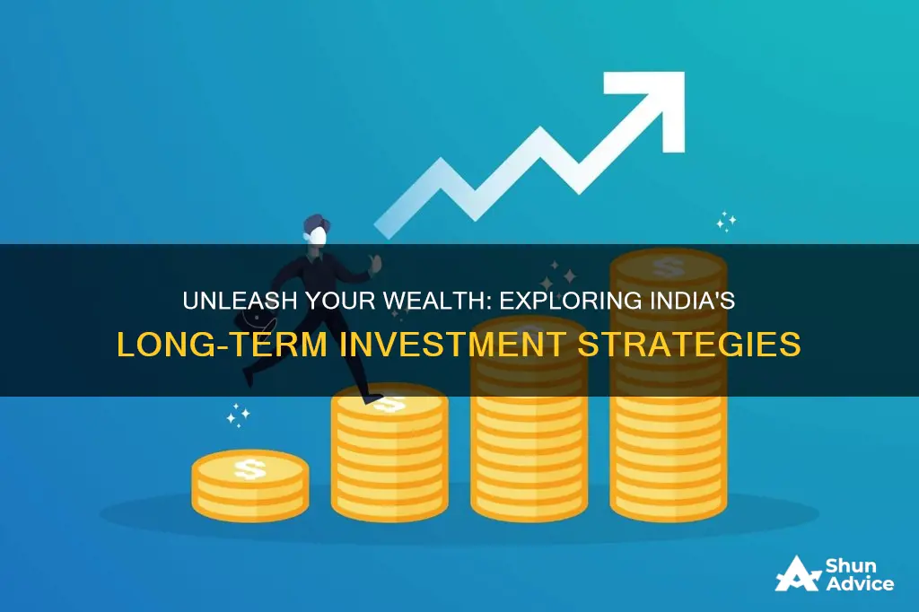 what are the long term investment options in india