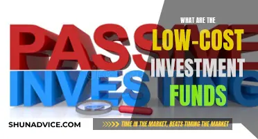 Low-Cost Investment Funds: Strategies for Smart Investing