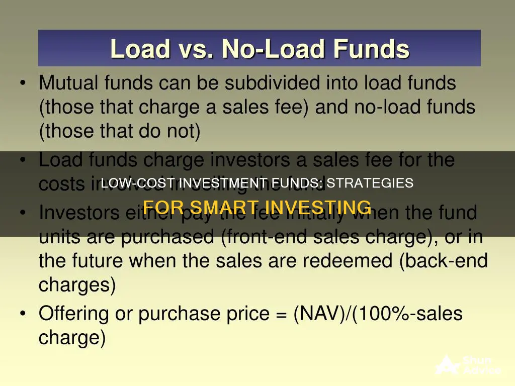 what are the low-cost investment funds