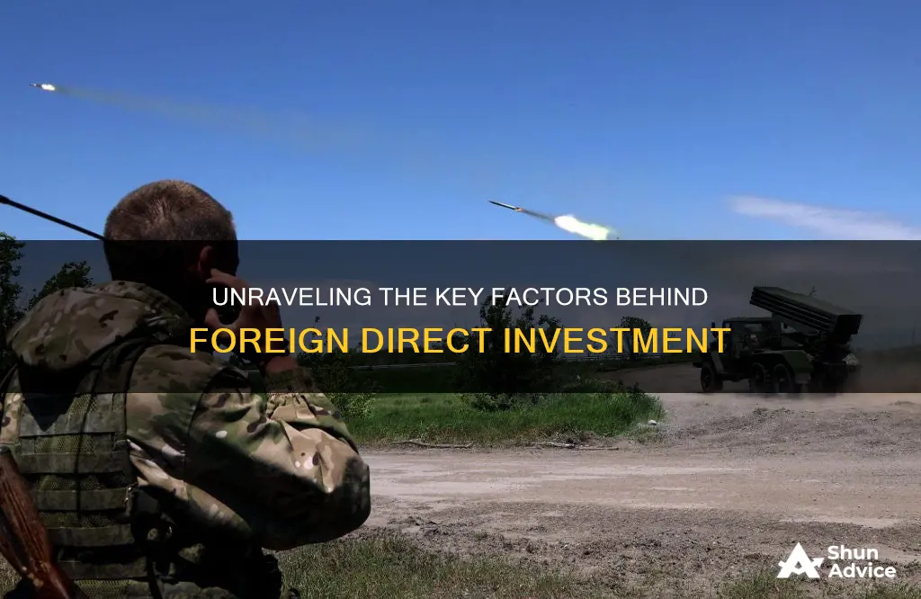 what are the main drivers of foreign direct investment flows