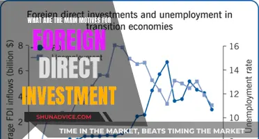 Unlocking Global Growth: Understanding Foreign Direct Investment Motives