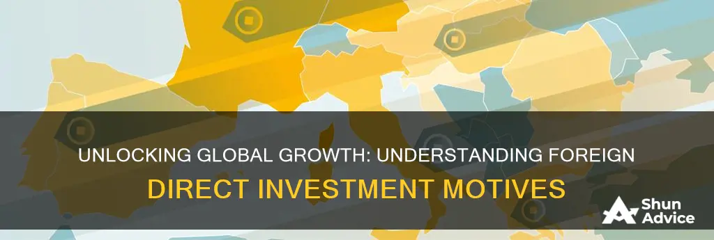 what are the main motives for foreign direct investment