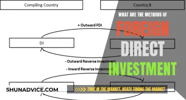 Unlocking Global Growth: Exploring FDI Strategies