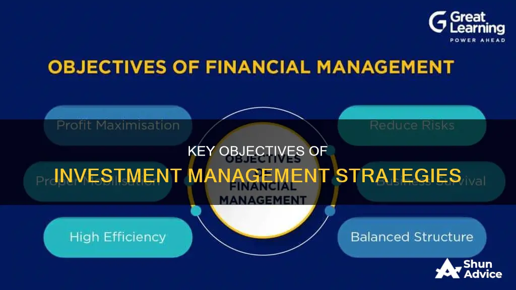 what are the objectives of investment management