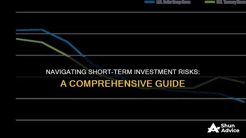 what are the primary risks associated with short term investments