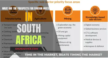 Unlocking Opportunities: South Africa's Foreign Investment Potential