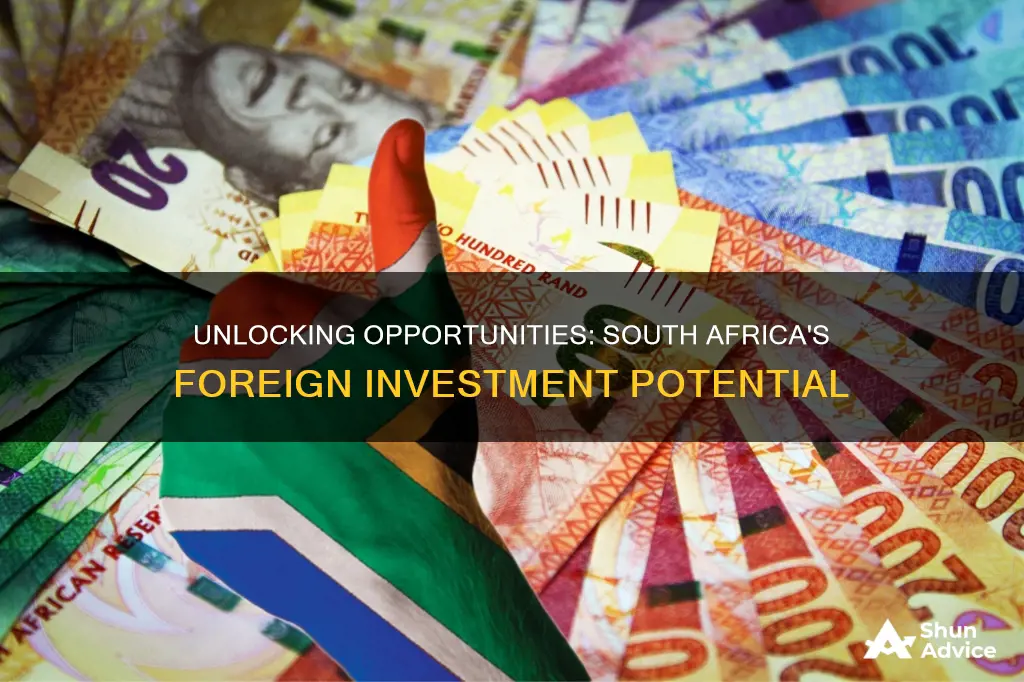 what are the prospects for foreign investment in south africa