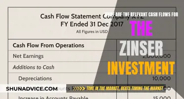 Zinser Investment: Relevant Cash Flows and Their Impact