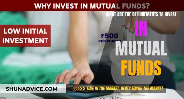 Mutual Fund Investment: Eligibility and Requirements