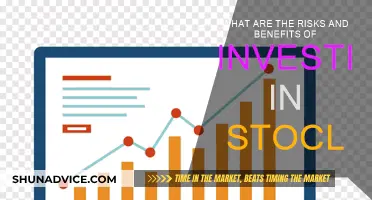 Stock Investment: Risks, Rewards, and You