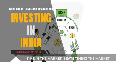 India's Investment Landscape: Risks, Rewards, and Opportunities