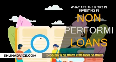 Non-Performing Loans: Risks and Rewards