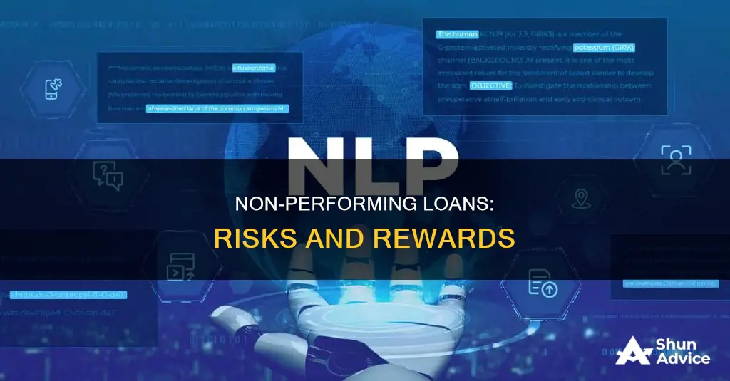 what are the risks in investing in non performing loans