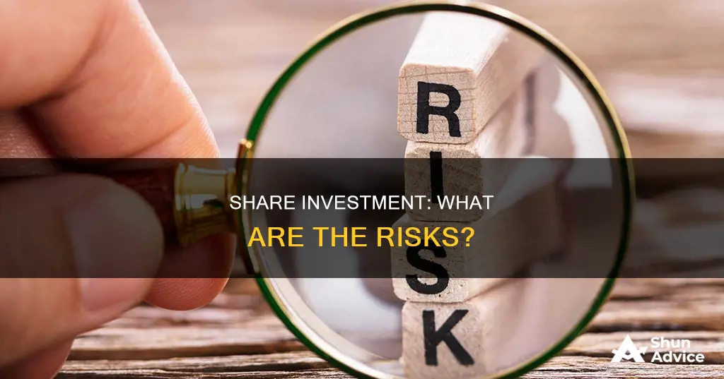 what are the risks involved when investing in shares