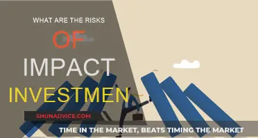 Impact Investing: Navigating Risks for Sustainable Returns