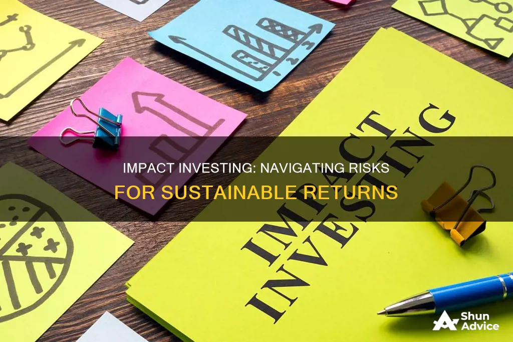 what are the risks of impact investment