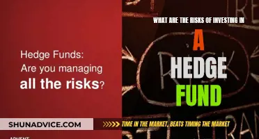 Hedge Fund Hazards: Risks to Watch Out For