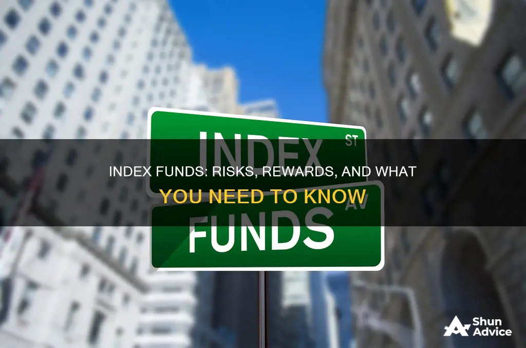 what are the risks of investing in an index fund