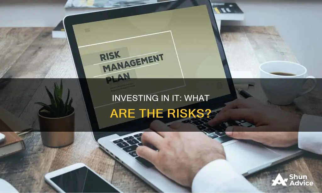 what are the risks of investing in it