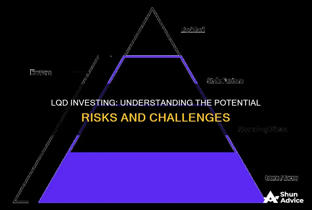 what are the risks of investing in lqd