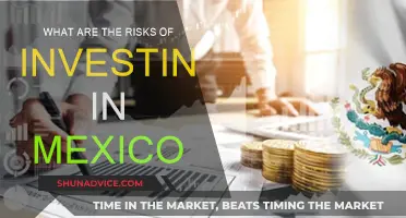 Mexico's Investment Risks: Political, Economic, and Security Challenges