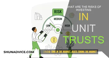 Unit Trust Investing: What Are the Risks?