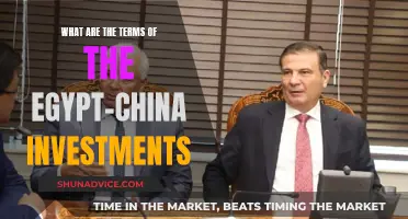 Egypt-China Investment Deal: Unlocking Africa's Future