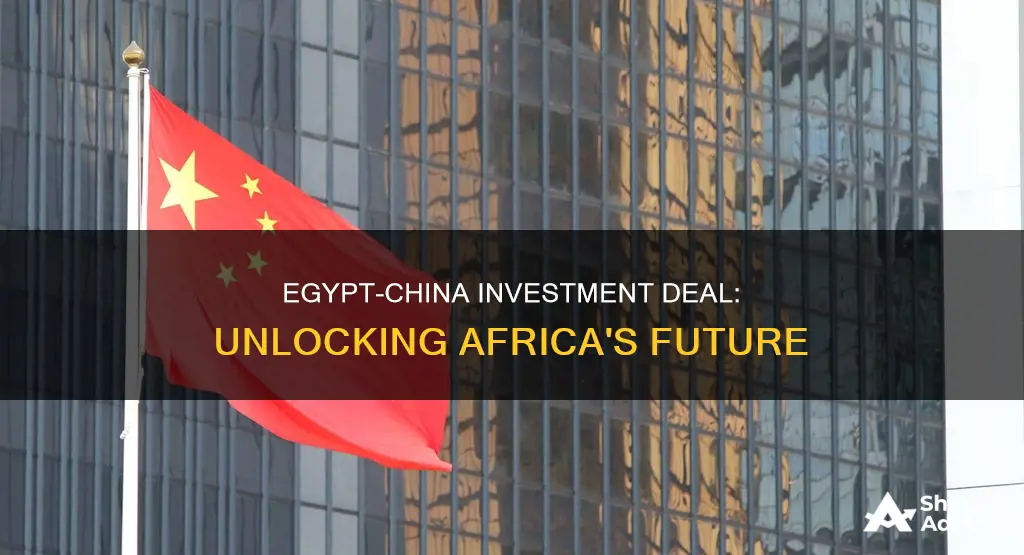 what are the terms of the egypt-china investments