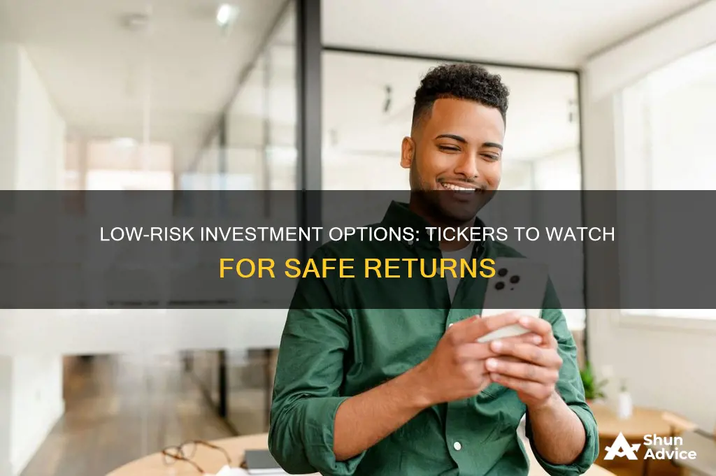 what are the tickers of low risk investments