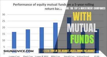 Best Investment Companies: Top 5 Mutual Fund Leaders