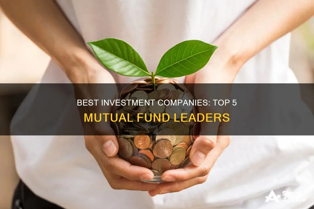 what are the top 5 investment companies with mutual funds