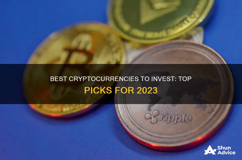 what are the top cryptos to invest in