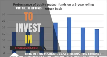 Best Funds to Invest in for Maximum Returns