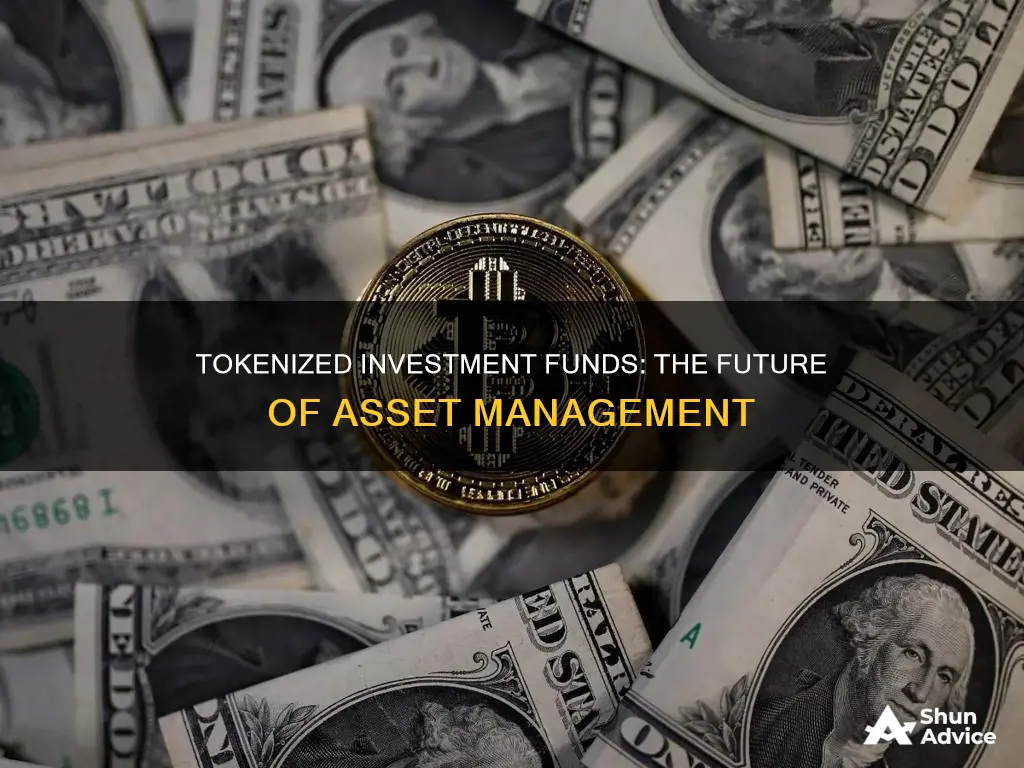 what are tokenized investment fund