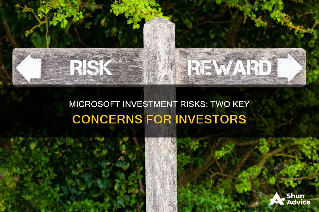 what are two risks in investing with microsoft