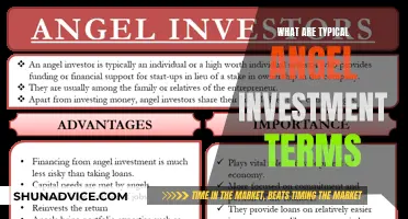 Understanding Angel Investment Terms: A Comprehensive Guide for Entrepreneurs