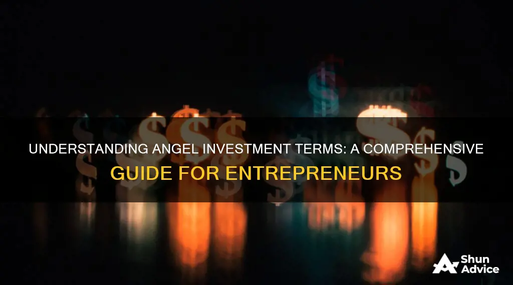 what are typical angel investment terms