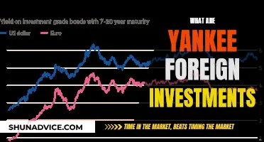 Unraveling the Impact: Yankee Foreign Investments and Their Global Reach