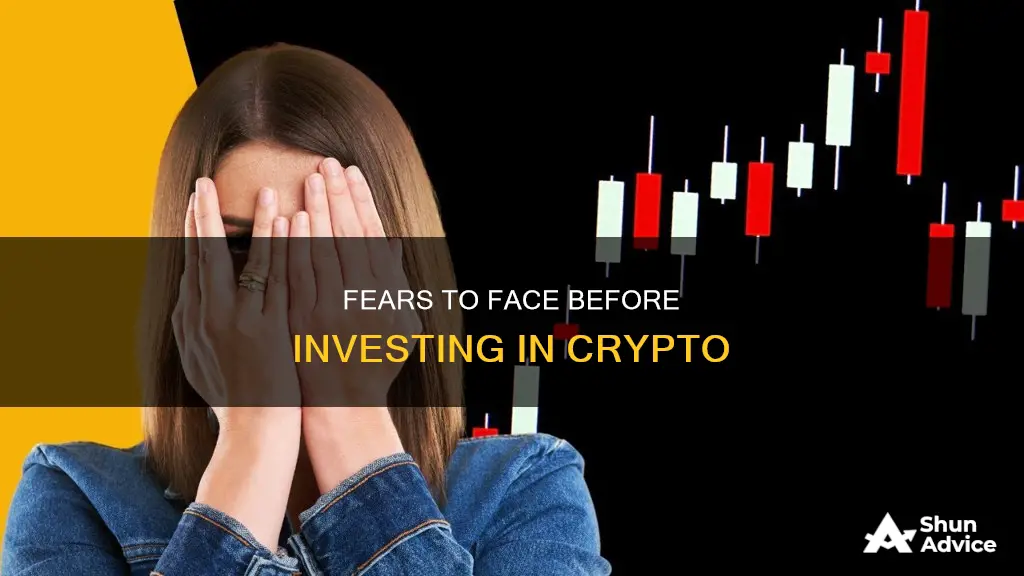 what are your fears before investing in crypto